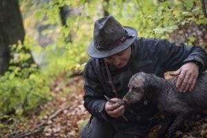 Online Buchbare Trüffelsuche Trüffel Trüffelhund tour im Allgäu Trüffel finden
