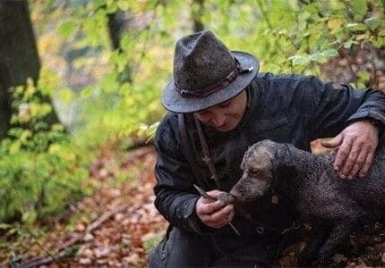 Trüffelfund Trüffeltouren geführte tour über Trüffel im Allgäu