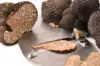 Schwarzer Trüffel gerieben 30g – Bild 2