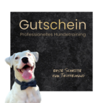 Gutschein für Hunde-Trüffeltraining