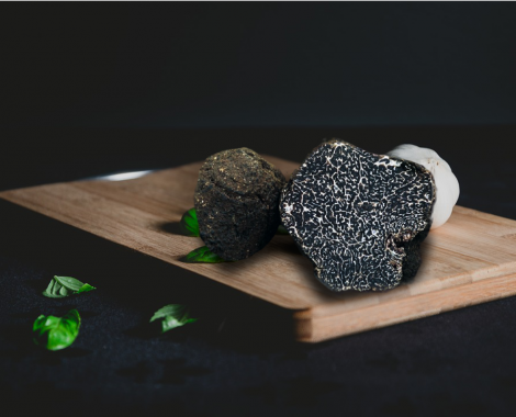 Melanosporum