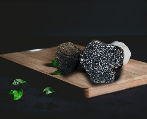 Melanosporum