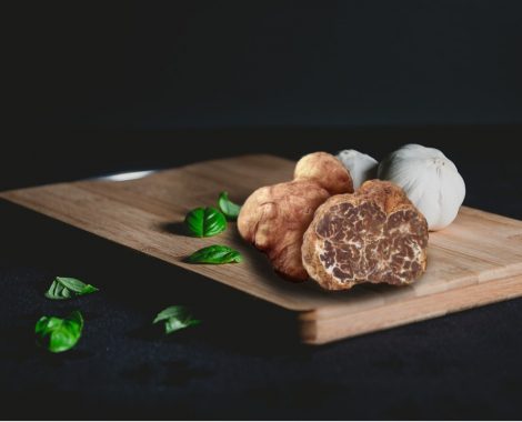 Tuber Borchi