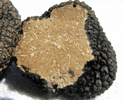 truffle-203031_1280